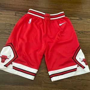 Nike Youth Chicago Bulls Dri-FIT Icon Swingman Shorts